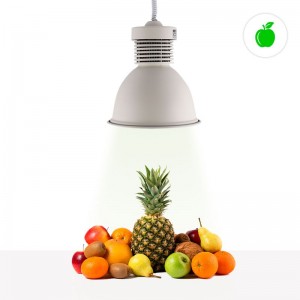 Lampara Campana LED 30W especial para fruterías y verdulerías