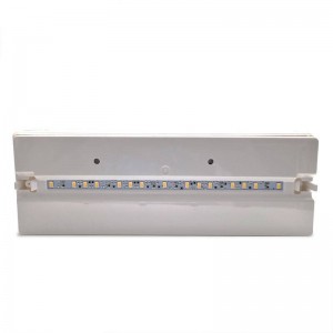 LED-Notleuchte 500LM 1 Stunde Betriebsdauer IP44