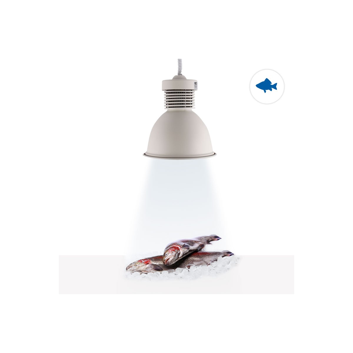 LED-Glockenlampe 30W speziell für Fischgeschäfte