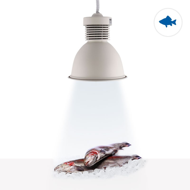 LED-Glockenlampe 30W speziell für Fischgeschäfte