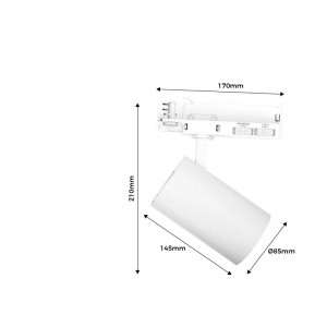 Dreiphasen 3CCT 30W/35W/40W Flutlicht