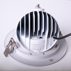 LED-Downlight mit kreisförmigem Querschnitt, schwenkbar