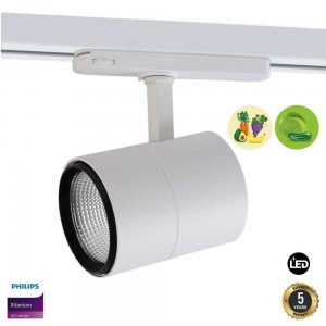 Dreiphasiger LED-Strahler speziell für Gemüsehändler und Gemüseläden - 30W