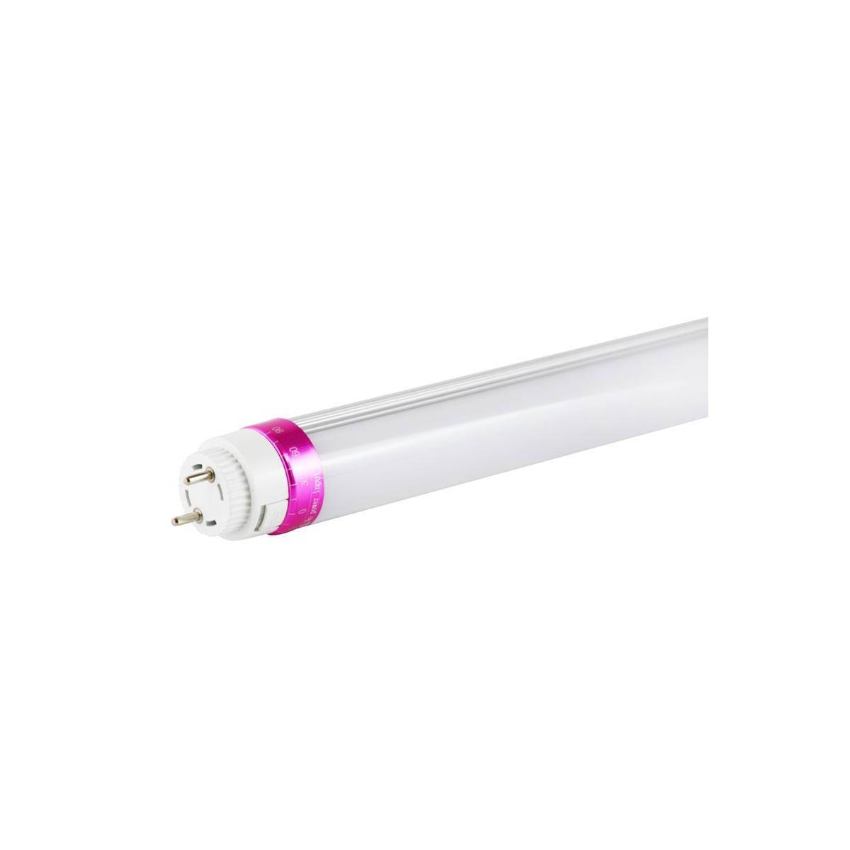 LED T8 Spezial-Fleischereiröhre 10W 600mm