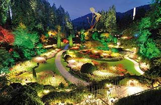 iluminación de colores con bombillas par led de todo un jardin