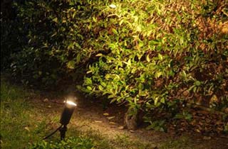 Pincho de jardin en primer plano iluminando arbustos