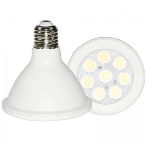 Lampadine LED PAR38 15W