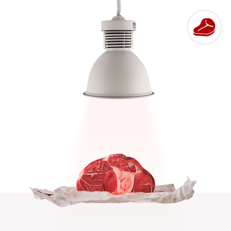 Lampada a campana LED 30W speciale per macellerie