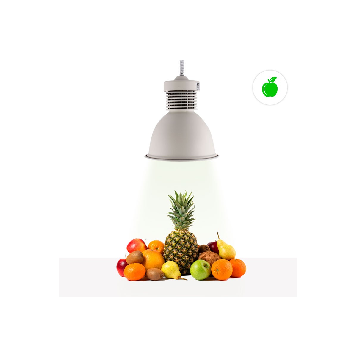 Luce LED da 30W speciale per fruttivendoli e frutterie.