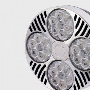 Lampadina LED PAR30 E27 35W 2800lm