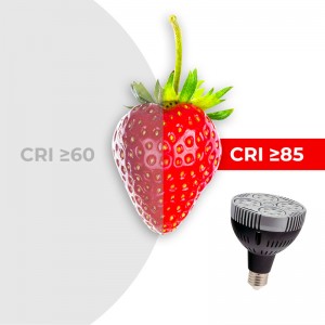 Pack "CINEMA" Faretto a binario monofase orientabile con lampadina LED PAR30 E27