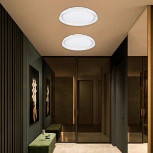 Plafoniera SMART LED - RGBCW WIFI montaggio a superficie 30W - IP20