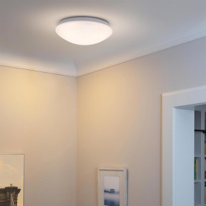 Lampada da soffitto Ledvance 25CM