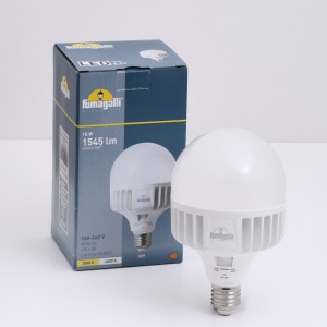 Lampadina LED E27 ad alta potenza -15W - CCT - Fumagalli - ø100mm