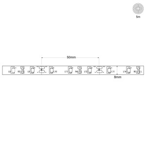 Striscia LED 12V DC - 6W/m - monocolore - 8mm - IP20 - Rotolo 5 metri - 60chip/m