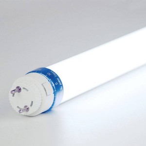 Tubo LED T8 speciale Pescheria 10W 600mm