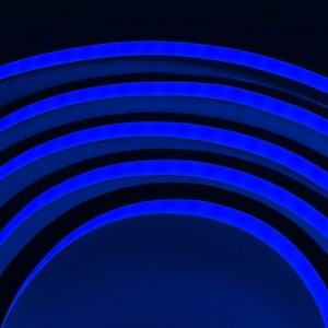 Neón LED RGB flexível 10x10mm IP67 - 5 metros-azul