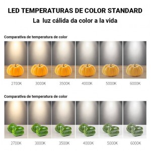 Aplique de parede duplo LED "LOOK- 2" ​​18W