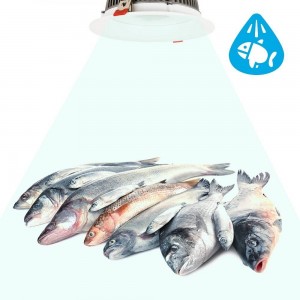 Foco LED de embutir LED 30W especiais para peixarias, corte Ø210mm