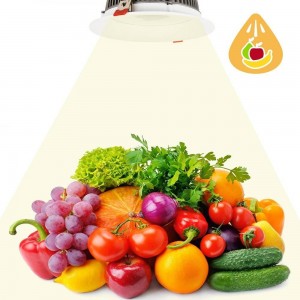 Foco LED encastrável 30W Especial para Frutas e Verduras