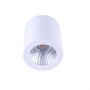 Candeeiro de teto CCT mini "GESS" COB 15W IP54