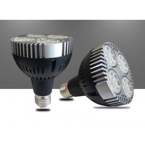 Lâmpada LED PAR30 E27 35W 2800lm