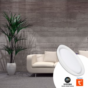 Luz de teto LED SMART - RGBCW WIFI montado à superfície 30W - IP20