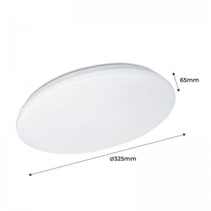 LED BASIC 24W luz de tecto circular IP20
