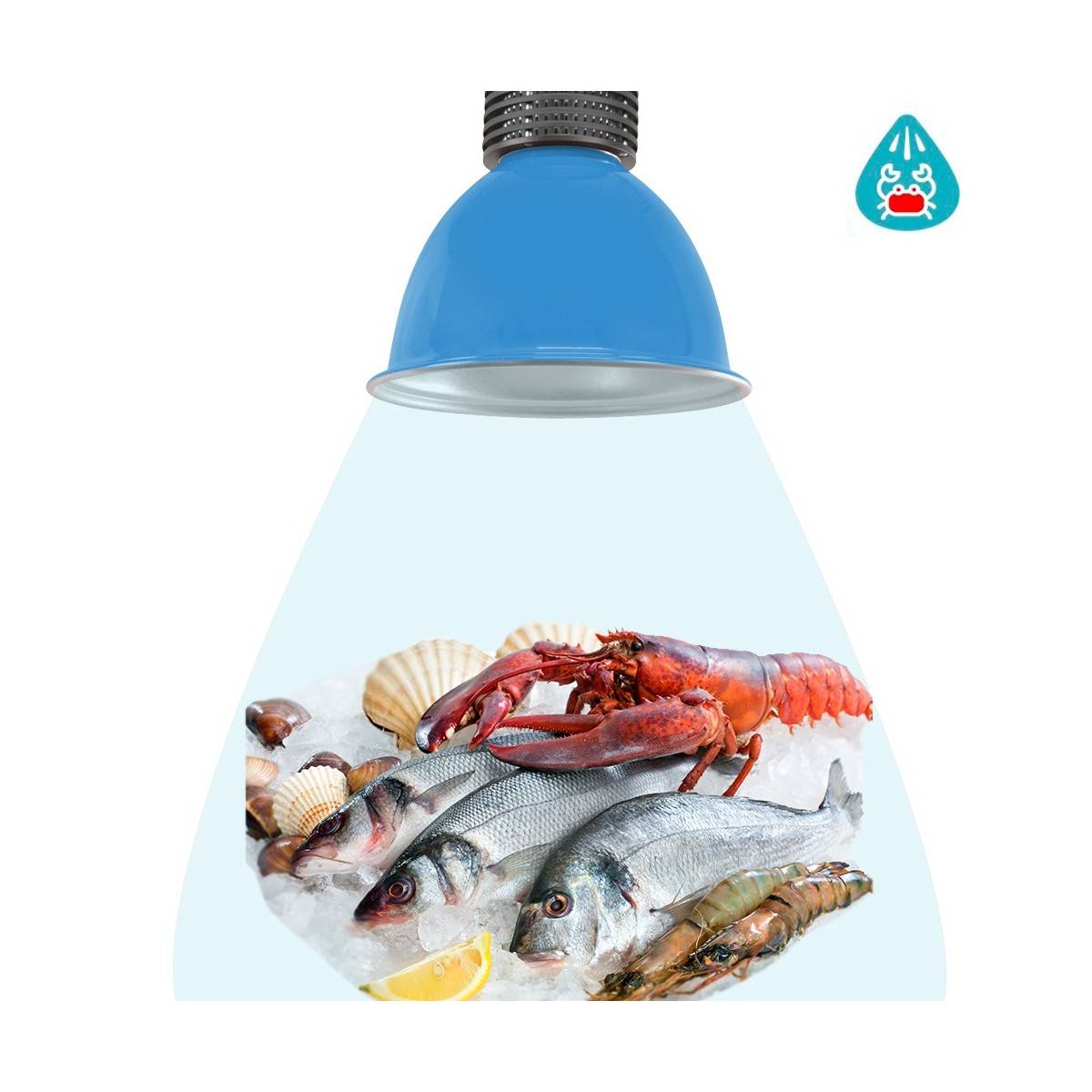 Campânula LED 30W especial para peixes e marisco