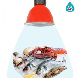 Campânula LED 30W especial para peixes e marisco