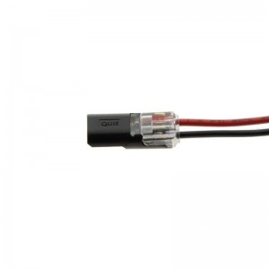 Conector terminal para 2 cabos - máx. 36V - 9A