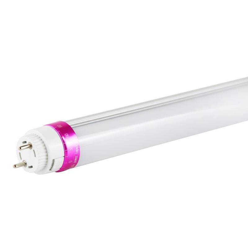 Tubo LED T8 especial talhos 120 cm 20W